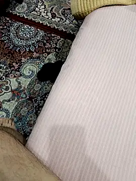 MEDVEDV online show from 14, 3, 2026