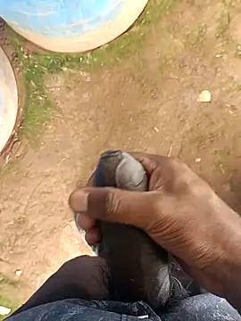 sanju 5418 online show from 17, 3, 2026