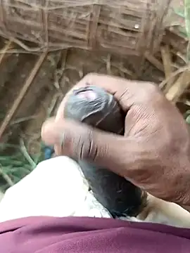 sanju 5418 online show from 11, 4, 2026