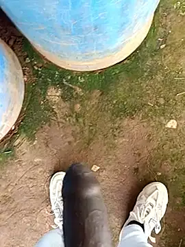 sanju 5418 online show from 31, 3, 2026