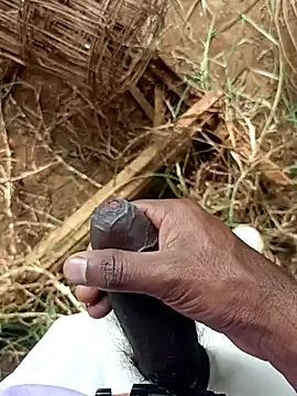 sanju 5418 online show from 8, 4, 2026