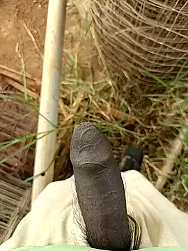 sanju 5418 online show from 5, 4, 2026