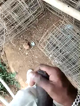 sanju 5418 online show from 4, 4, 2026