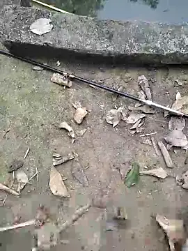 Luuthanh08 online show from 21, 3, 2026