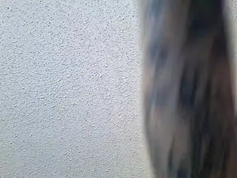 Snapshot of Envyussfantasy chatting on 25, 5, 2026 Envyussfantasy online show from 25, 5, 2026