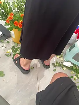 haotian8898 online show from 25, 7, 2026
