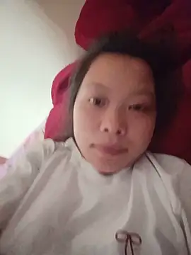 Panda cutee online show from 21, 5, 2026