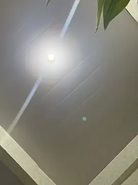 Urcutiepiebaby online show from 8, 4, 2026