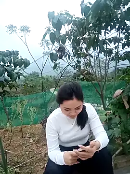 Mi-milan online show from 24, 3, 2026