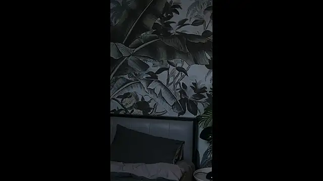 ZY6655 online show from 19, 3, 2026