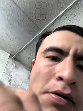 cactoto online show from 19, 3, 2026