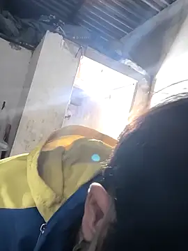 cactoto online show from 30, 3, 2026