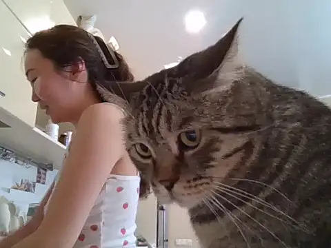 Snapshot of AsianJade1 chatting on 24, 3, 2026 AsianJade1 online show from 24, 3, 2026