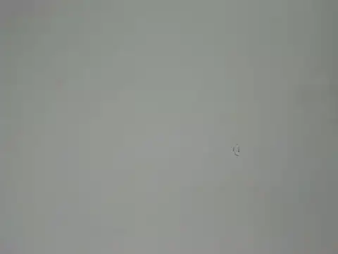 Aliciaa Diamond online show from 25, 3, 2026