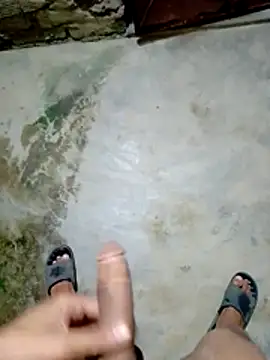 DeshiTiger online show from 24, 3, 2026