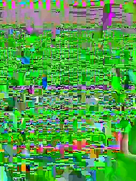 LoosedTatar online show from 7, 7, 2026