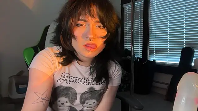 vrtual kitty online show from 9, 4, 2026