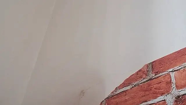 Sueliton2 online show from 28, 3, 2026