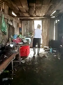 Lily Daisy online show from 25, 3, 2026