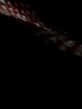 Lucho128030 online show from 24, 3, 2026