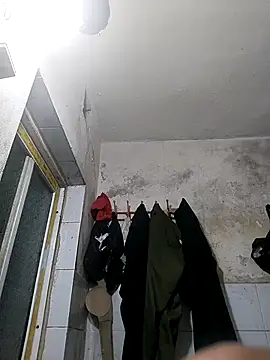 Tinh love online show from 31, 3, 2026