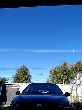 Switzerland32 online show from 12, 4, 2026