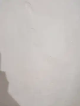 SLBL online show from 25, 3, 2026