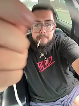 dpenguino online show from 8, 4, 2026