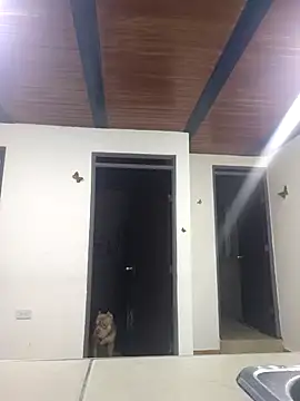 yvonne 1998 online show from 15, 4, 2026