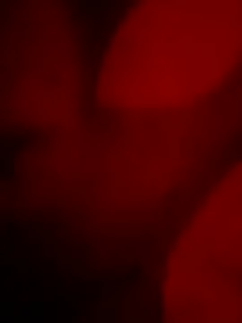 Snapshot of goldboy_0069 chatting on 11, 4, 2026 goldboy 0069 online show from 11, 4, 2026