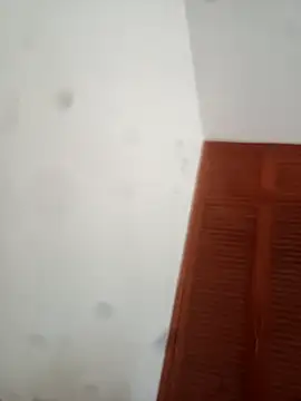 Snapshot of goldboy_0069 chatting on 3, 4, 2026 goldboy 0069 online show from 3, 4, 2026