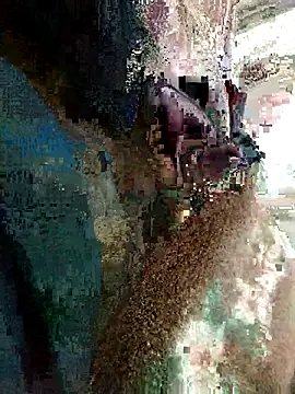 blax0 online show from 29, 3, 2026