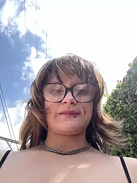 alldogsgotoheaven online show from 17, 5, 2026