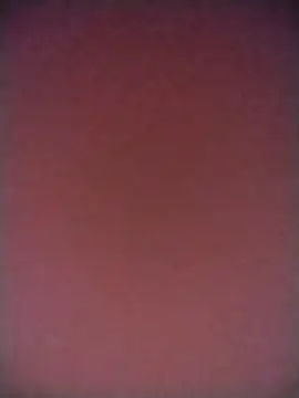 Snapshot of TANU01990 chatting on 12, 4, 2026 TANU01990 online show from 12, 4, 2026