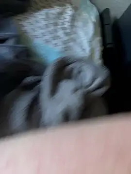 SmaLDicK2100 online show from 10, 4, 2026