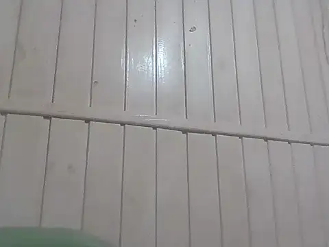 Docecastainha online show from 7, 4, 2026