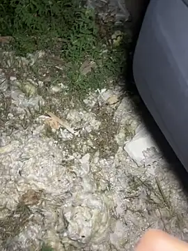 Snapshot of yingzi003 chatting on 15, 4, 2026 yingzi003 online show from 15, 4, 2026