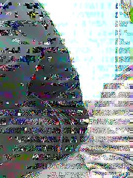81strangerlife online show from 5, 4, 2026