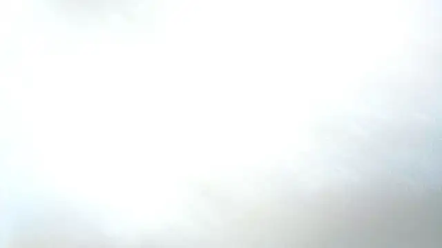  nnuw york 17 online show from 3, 4, 2026