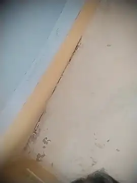 mille20 online show from 12, 4, 2026