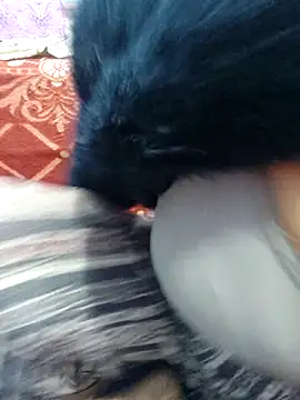 Rufiya khan0 online show from 6, 4, 2026