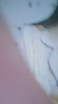 yehua001 online show from 14, 4, 2026