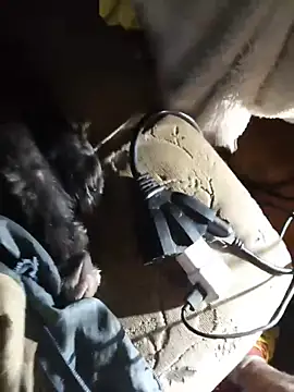 Rockstar842141 online show from 28, 4, 2026