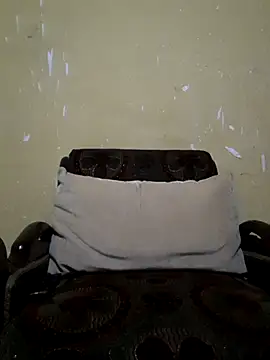 beebuzz0 online show from 27, 4, 2026