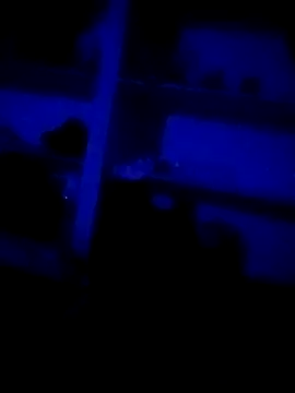 DKD-TELUGU36 online show from 4, 4, 2026