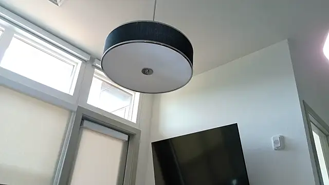 Seagll online show from 11, 4, 2026