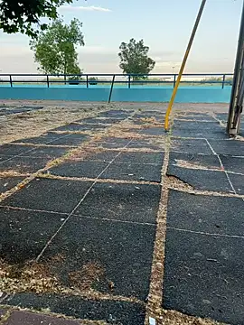 Lisboa12po online show from 28, 4, 2026