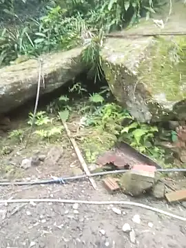 anhhuyen1 online show from 5, 4, 2026