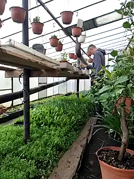 Frosting1957 online show from 12, 4, 2026