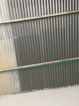 RAMONA and ROGER online show from 16, 4, 2026